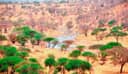 Parc national de Tarangire