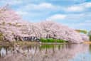Tokyo : Balade dans les parcs & jardins