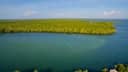 Mangroves de Gazi